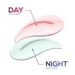 Buy RENEE Day & Night Cream 90 gm, Day: Reduce Blemishes & dullness, Moisturizes & protects with SPF 30, Night: Minimizes Fine Lines, Dark Circles & Increases Skin Firmness & Smoothness - Purplle