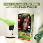 Buy Indus Valley Organically Natural Gel Burgundy 3.6 Hair ColorA -(220 gm) - Purplle