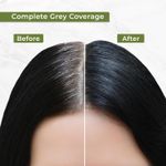 Buy Indus Valley Organically Natural Gel Burgundy 3.6 Hair ColorA -(220 gm) - Purplle