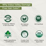 Buy Indus Valley Organically Natural Gel Burgundy 3.6 Hair ColorA -(220 gm) - Purplle