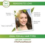 Buy Organic Harvest Hairfall Control Shampoo, (500 gm) - Purplle
