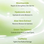 Buy mCaffeine Green Tea Oil-Free Moisturizer with Niacinamide 5% - Purplle