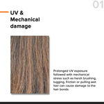 Buy Minimalist Maleic Bond Repair Complex 5% Hair Serum with Amino acids, Argan oil & Squalane 50 ml - Purplle