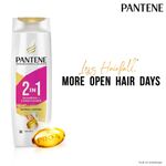 Buy Pantene 2 In 1 Hairfall Control Shampoo + Conditioner (340ml) - Purplle
