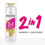 Buy Pantene 2 In 1 Hairfall Control Shampoo + Conditioner (340ml) - Purplle