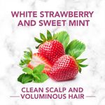Buy Herbal Essences White Strawberry & Sweet Mint CONDITIONER- For Cleansing and Volume - No Paraben, No Colorants, 240 ml - Purplle