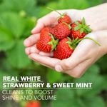 Buy Herbal Essences White Strawberry & Sweet Mint SHAMPOO- For Cleansing and Volume - No Paraben, No Colorants, 240 ml - Purplle