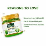 Buy Indus valley Bio Organic AloeVera Gel (175 ml) - Purplle