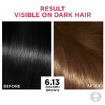 Buy L'Oreal Paris Excellence Creme Hair Color - Golden Brown 6.13 (72 ml+100 g) - Purplle