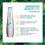 Buy Matrix Advanced Biolage Scalppure Shampoo (400 ml) - Purplle