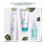 Buy Matrix Advanced Biolage Scalppure Shampoo (400 ml) - Purplle