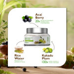 Buy Organic Harvest Brightening Night Cream With Kakadu Plum, Acai Berry & Rice Water, 50 ml - Purplle