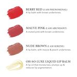 Buy RAS Luxury Oils Tinted Lip Balm Miniature Set (4 piece) (4 ml) - Purplle