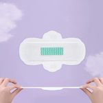 Buy Trendzie Care Ultra Thin Rash Free Sanitary Pads | Zero Toxins Sanitary Pad | Super Absorbent | Cottony Soft | Size-Regular (240 MM, PACK OF 10) - Purplle