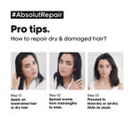 Buy L'Oreal Professionnel Serie Expert Absolut Repair Shampoo +Serie Expert Absolut Repair Mask + Absolut Repair Oil 10-in-1 (300ml + 250 gm + 90 ml) - Purplle