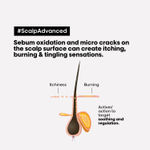 Buy L'Oreal Professionnel Scalp Advanced Anti-Discomfort Dermo-Regulator Shampoo + Combo of Metal DX Hair Mask(300ml + 250gm) - Purplle