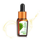 Buy Organic Harvest Tea Tree Essential Oil (10 ml) - Purplle