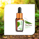 Buy Organic Harvest Tea Tree Essential Oil (10 ml) - Purplle