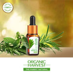 Buy Organic Harvest Tea Tree Essential Oil (10 ml) - Purplle