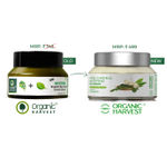 Buy Organic Harvest Vitamin B Organic Day Cream with Spinach and Niacinamide, 50 gm, Ideal for Oily and Combination Skin, Fights Pimples and Painful Acne, 100% Organic - Purplle
