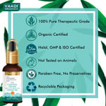 Buy Vaadi Herbals Oil Control Serum With 10 % Niacinamide & 2% Salicylic Acid - Purplle