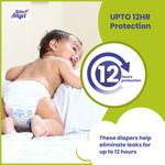 Buy Little Angel Extra Dry Baby Pants Diaper, Medium (M) Size, 74 Count, Super Absorbent Core Up to 12 Hrs. Protection, Soft Elastic Waist Grip & Wetness Indicator, Pack of 1, Upto 5-11kg - Purplle