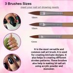Buy Bronson Professional Nail Art Acrylic Brush Set for liquid and powder no.6,8,10 (Pack of 3) - Purplle
