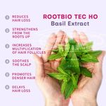 Buy Anveya Roots Ban the Fall Hair Oil-in Serum, 120 ml | For Hair Fall in Women | Prevents Hair Thinning & Removes Scalp Infection | With Onion Oil & Chamomile Oil - Purplle