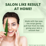 Buy Hiphop Skincare Aloe Vera Facial Wax Strips - For Upper Lips & Sidelocks (20 Strips) - Purplle