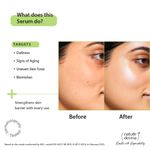 Buy Nature Derma 20% Vitamin C, Vitamin E & Ferulic Acid Serum with Natural Biome-Boost™ - Reduces Dark Spots, Dullness & Signs of Aging | Use For Brighter, Glowing & Strengthened Skin | 30ml - Dermatologically Tested - Purplle