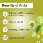Buy Good Vibes Amla Shikakai Strengthening Shampoo | Hair Growth, Adds Shine | No Parabens, No Animal Testing (200 ml) - Purplle