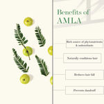 Buy Good Vibes Amla & Shikakai Strengthening Conditioner | Hair Growth, Shine | No Parabens, No Animal Testing (120 ml) - Purplle