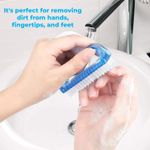 Buy Bronson Professional nail brush pack of 2 pcs - Purplle