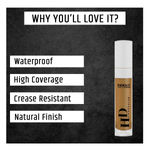Buy INSIGHT COSMETICS HD CONCEALER (CR-111)_LN 10 - Purplle