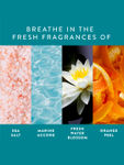 Buy Find Your Happy Place - Sunkissed Ocean Waves Exfoliating Body Scrub Sea Salt & Water Blossom 250g - Purplle