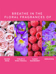 Buy Find Your Happy Place - Wrapped In Your Arms Souffle Body Butter Blush Rose & Raspberry 200g - Purplle