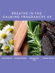 Buy Find Your Happy Place - Under The Starlit Sky Scented Hand Cream Chamomile & Rosemary 30g - Purplle