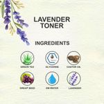 Buy Love Earth Lavender Toner 100ml With Benefits of Grape Seed Extracts For Glowing skin | Face Mist for Hyperpigmentation And Acne Prone Skin | Astringent Body Spray Suitable For All Skin Types - Purplle