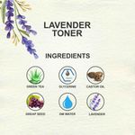 Buy Love Earth Lavender Toner 100 ml With Benefits of Grape Seed Extracts For Glowing skin | Face Mist for Hyperpigmentation And Acne Prone Skin | Astringent Body Spray Suitable For All Skin Types - Purplle