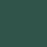 Buy Bella Voste MATTE Nail Polish| Quick Drying Formula| Cruelty Free| Paraben Free & No Harmful Chemicals| Vegan | Lasts for 7 Days & more|Chip Resistant | DEEP MATT Formula with Smooth & Easy Application | Shade no-M02 - 9 ml - Purplle