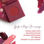 Buy Juicy Chemistry Lip & Cheek Tint GOJI BERRY LT04 3.5 gm - Purplle