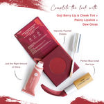 Buy Juicy Chemistry Lip & Cheek Tint GOJI BERRY LT04 3.5 gm - Purplle