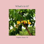 Buy Juicy Chemistry Organic Neem Oil, 30 ml | 100% Pure, Cold-Pressed & Certified Organic | Fights Acne, Dandruff & Scalp Build-Up | Antibacterial & Purifying for Skin & Hair - Purplle