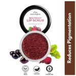 Buy Aravi Organic Beetroot Lip Scrub With Beetroots, Shea Butter & Cocoa Butter - For Dark,Chapped & Pigmented Lips - For Brightening Dark Lips - For Men and Women - 15 gm - Purplle