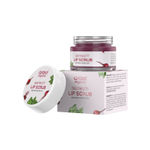 Buy Aravi Organic Beetroot Lip Scrub With Beetroots, Shea Butter & Cocoa Butter - For Dark,Chapped & Pigmented Lips - For Brightening Dark Lips - For Men and Women - 15 gm - Purplle