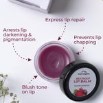 Buy Aravi Organic Beetroot Lip Balm With Beetroots, Shea Butter & Cocoa Butter - For Dry & Chapped Lips Lip - Protection & Nourishment - 8 gm - Purplle