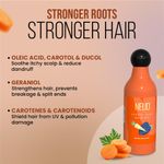 Buy NEUD Carrot Seed Premium Hair Oil for Men & Women - 2 Packs (300 ml Each) - Purplle