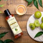 Buy Hasthkar Handmades SLS Paraben Free Amla Neem & Argan Oil Hair Shampoo for Men & Women 210ml - Purplle