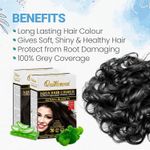Buy QuikHenna Aqua Powder 1N Natural Black Hair Color For Unisex 110g - Purplle