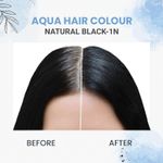 Buy QuikHenna Aqua Powder 1N Natural Black Hair Color For Unisex 110g - Purplle